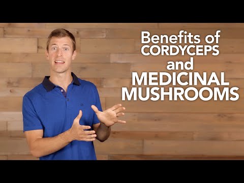 Benefits of Cordyceps and Medicinal Mushrooms