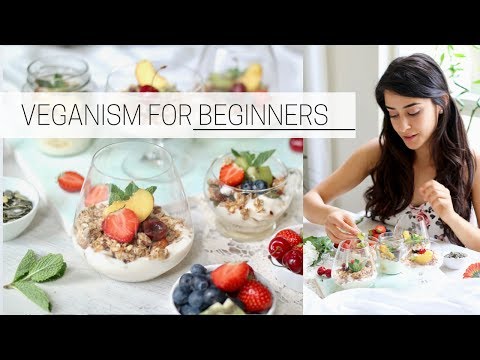 BEGINNER&#039;S GUIDE TO VEGANISM » how to go vegan